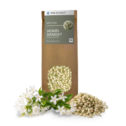 Jasmin